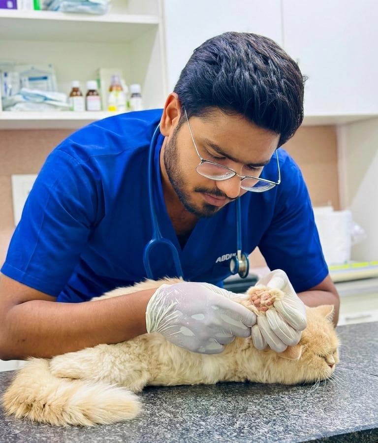 Dr. Abdul Haseeb at practice, photo 3
