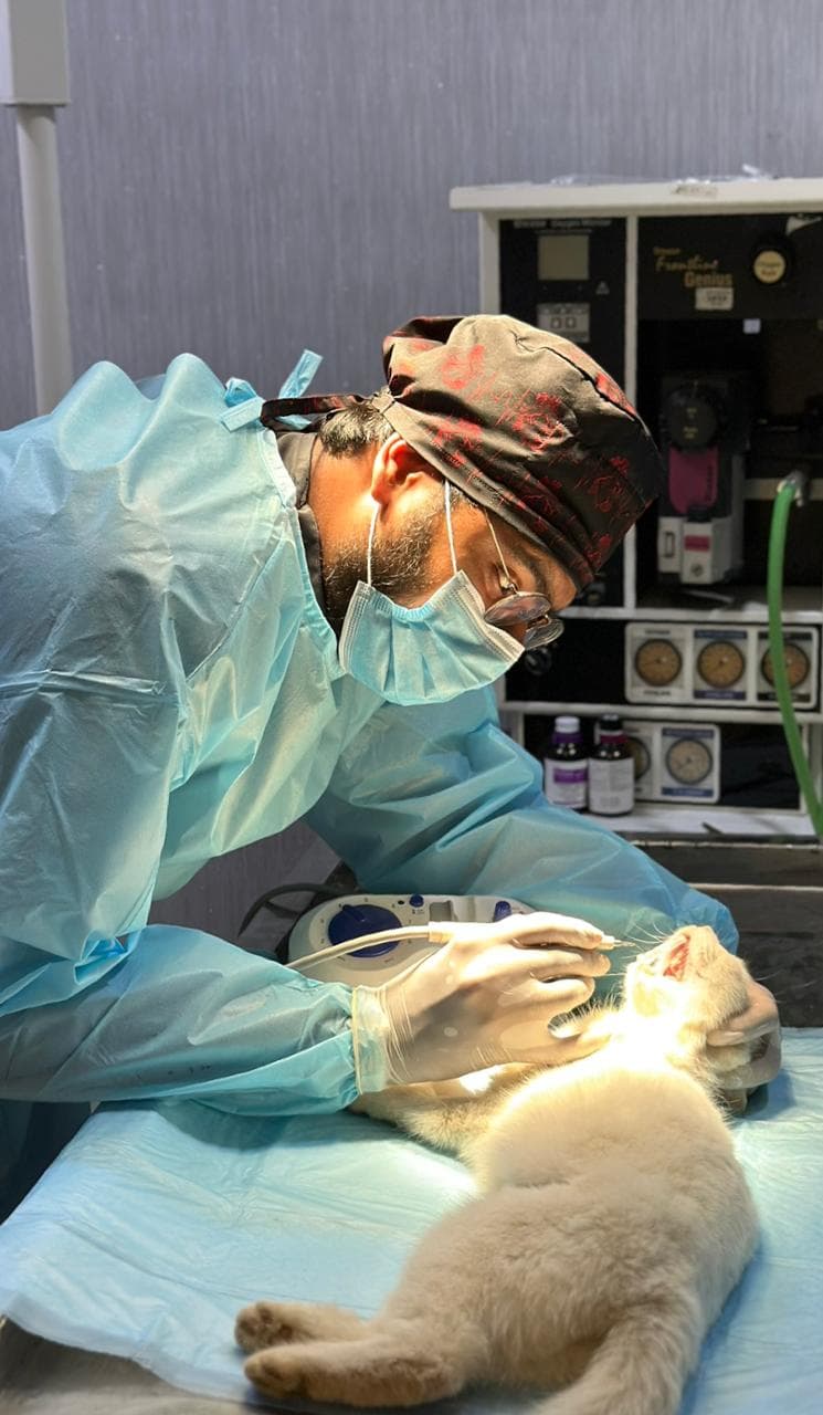 Dr. Abdul Haseeb at practice, photo 4