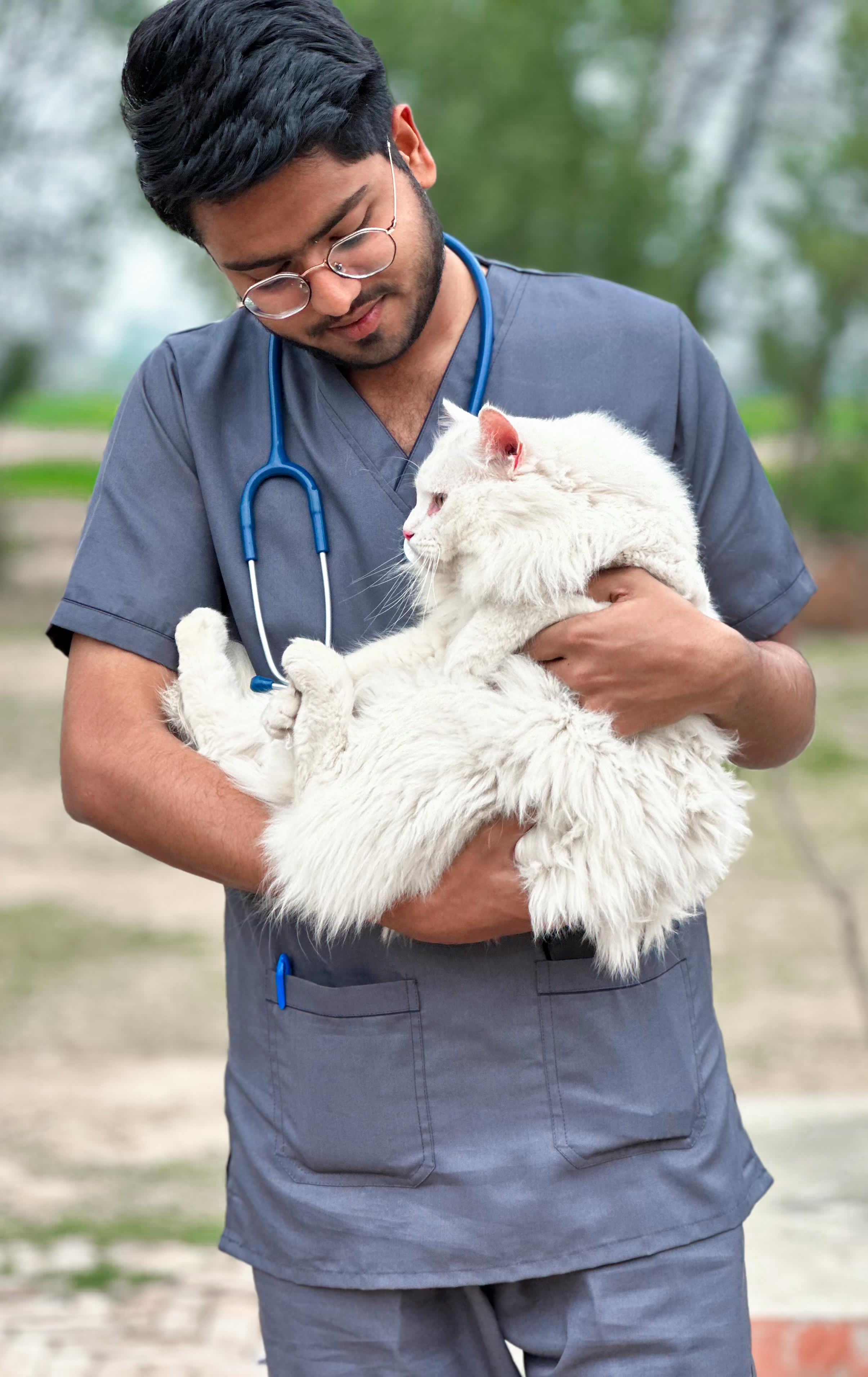 Dr. Abdul Haseeb at practice, photo 9